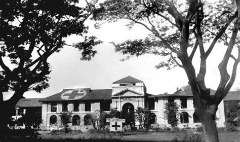 health during commonwealth period in the philippines|Public Health in the Philippines .